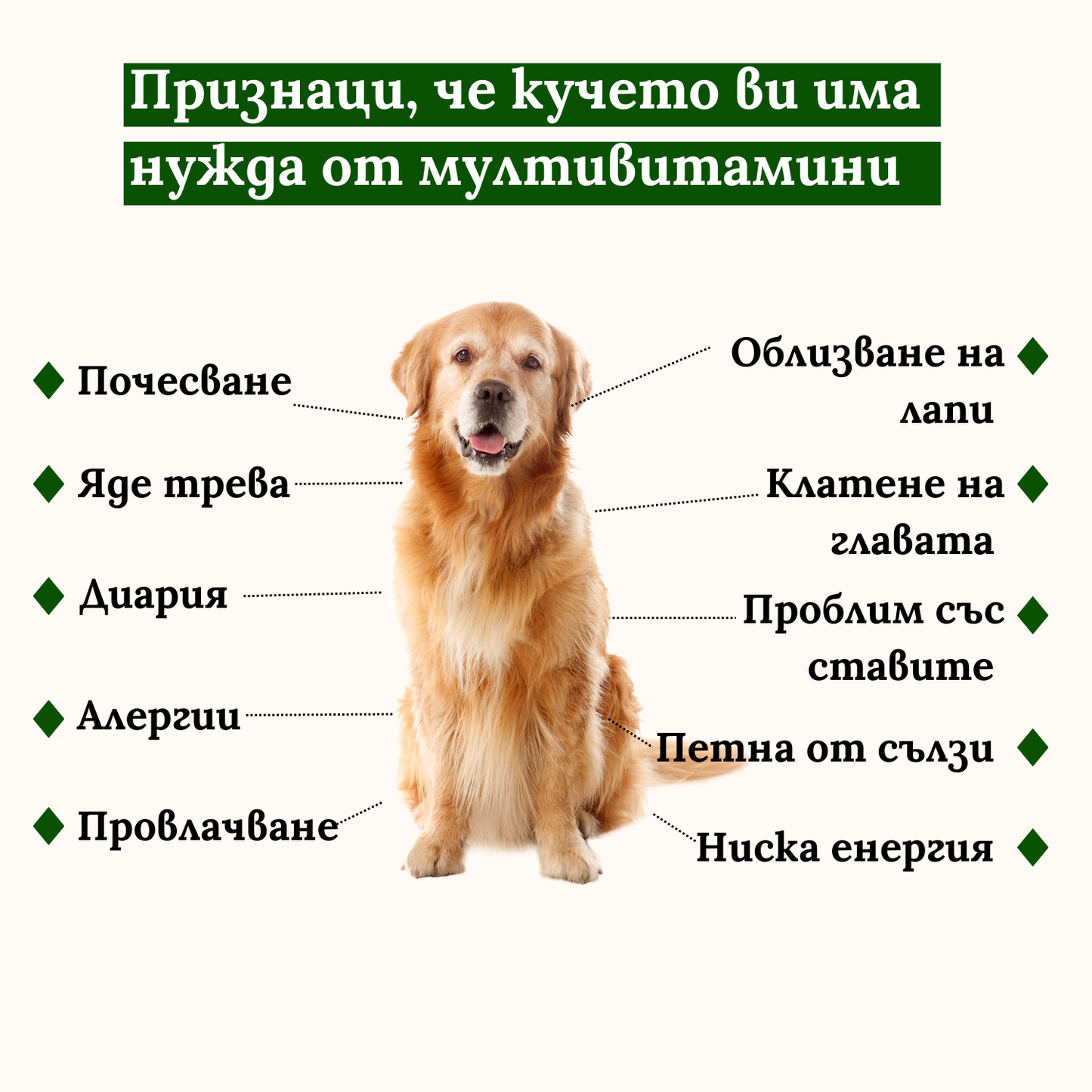 Мултивитамини - За Щастлив и Здрав Любимец