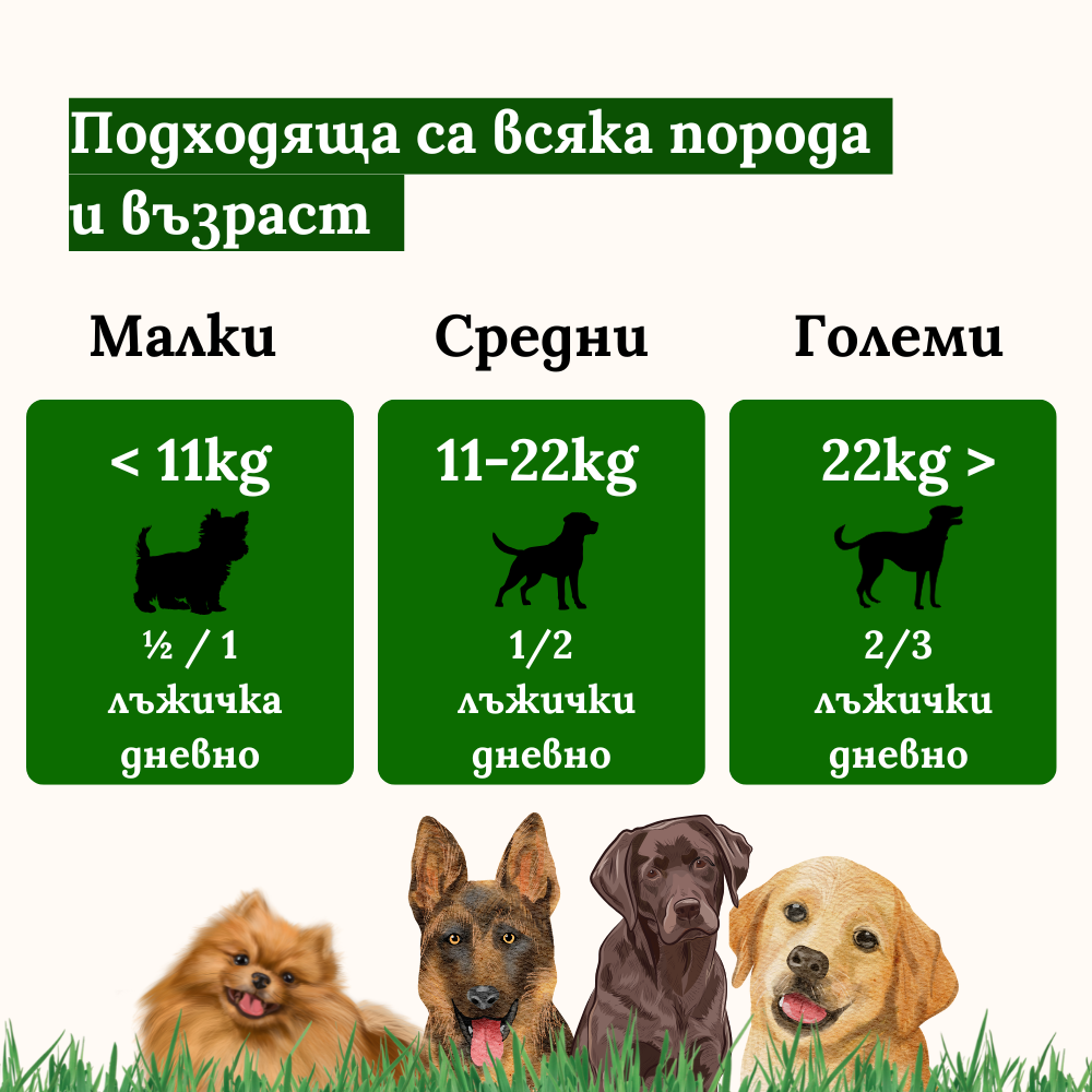 Мултивитамини - За Щастлив и Здрав Любимец
